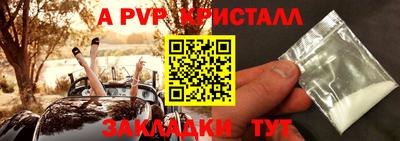 молекула духа Камышлов