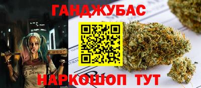 молекула духа Камышлов